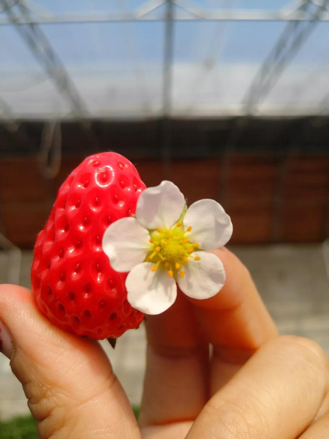 北京推荐打卡地冬天,京郊绝美打卡地