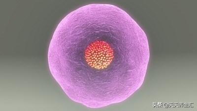 男性结扎和女性结扎后遗症对比,女性结扎怎么知道是什么结扎方法