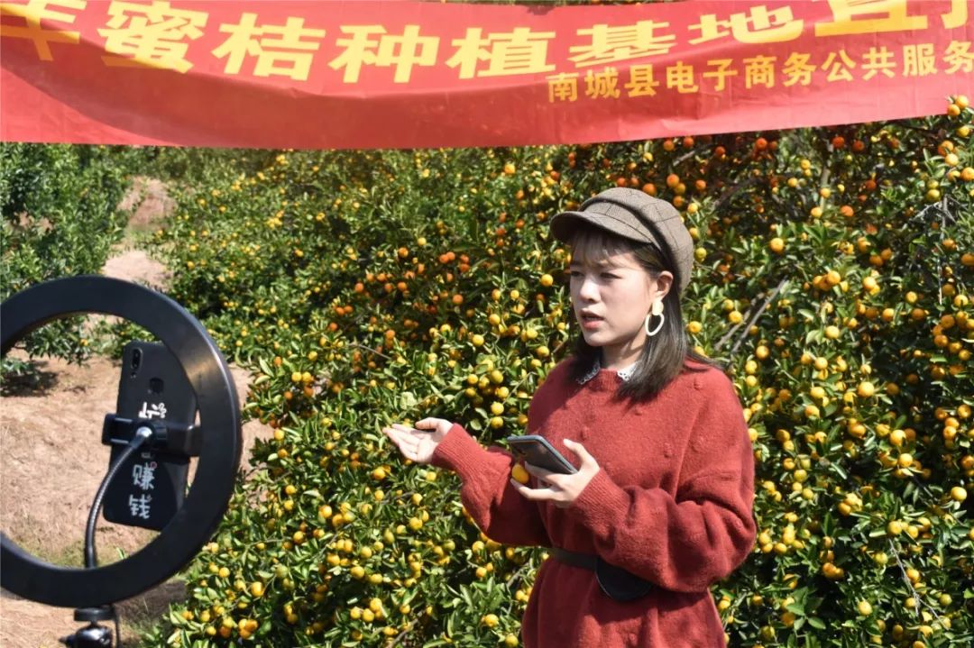 服务中心举行南丰蜜桔种植基地网络直播活动
