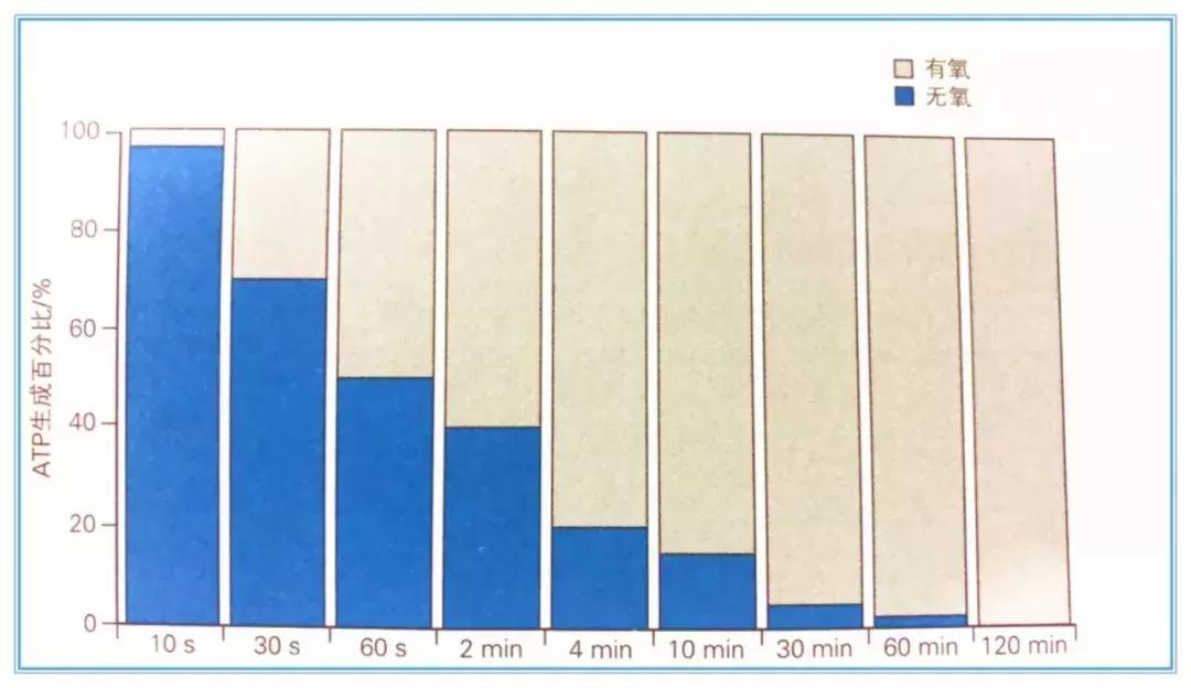 害怕体育训练怎么办,害怕有氧掉肌肉