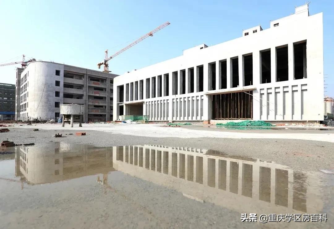 沙小、树人、七中！来看沙坪坝如何布局教育资源