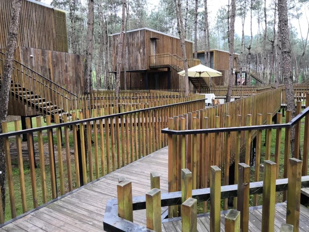 楠溪民宿真赞!推荐一批楠溪江畔精品民宿,你住过吗?(一)