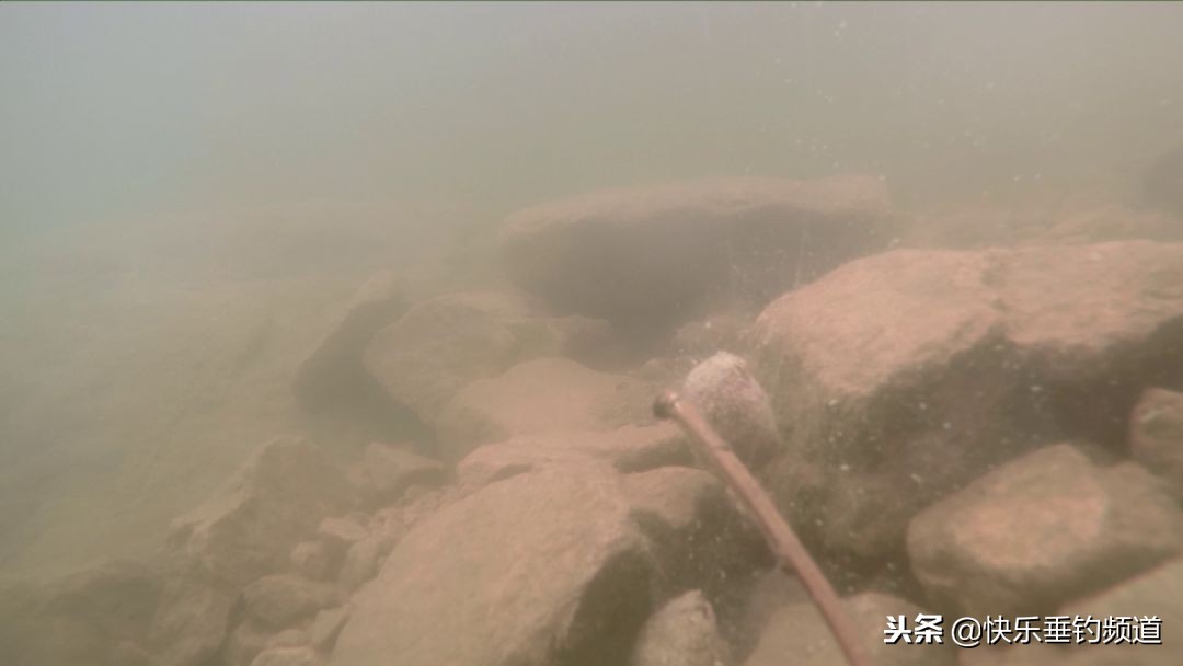 夏季蚯蚓野钓怎么避小杂鱼,夏季野钓鲫鱼避杂鱼