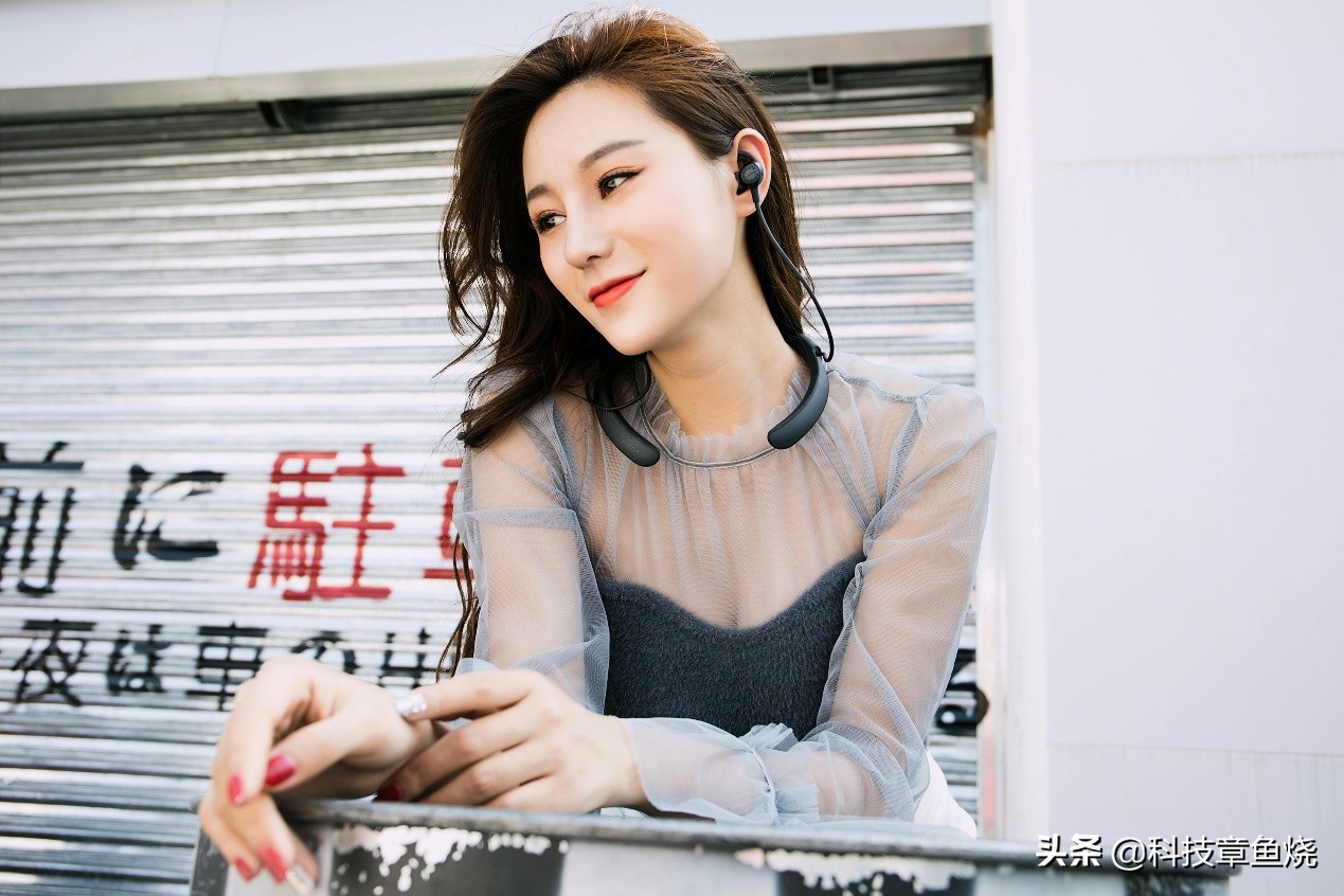 有bose的车,有bose音响的车