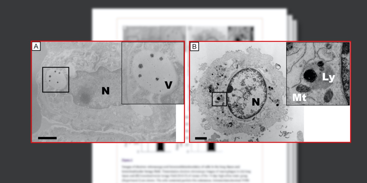 9成国人不会挑选加湿器：翻阅30万字论文，只为教你正确应对干燥