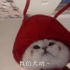 在自己县城工资低怎么办,在城市里工资少怎么生活