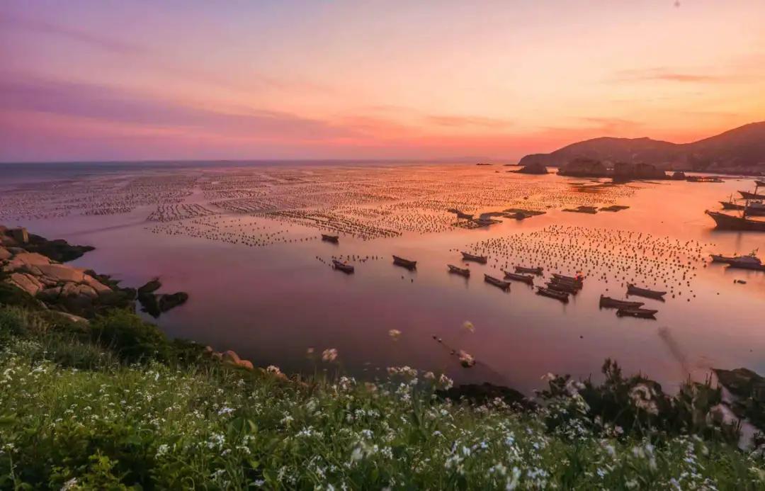 列岛之枸杞岛旅游攻略,嵊山岛枸杞岛旅游攻略