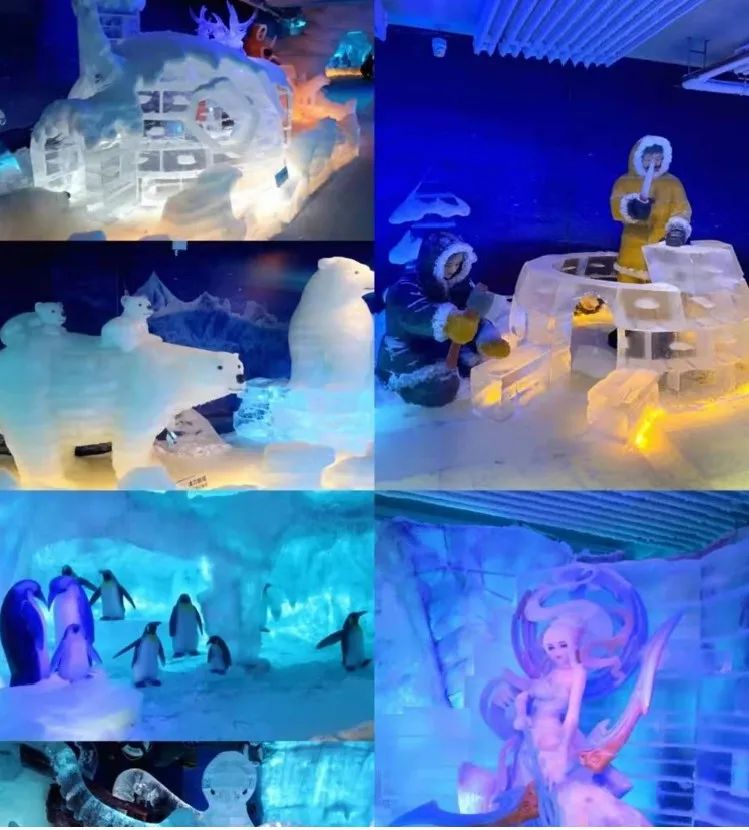 天津海昌极地海洋世界年票,天津海昌极地海洋99票价真实性