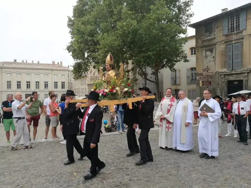 品乐Pinor：在法国葡萄园上班，就像在东北掰玉米……