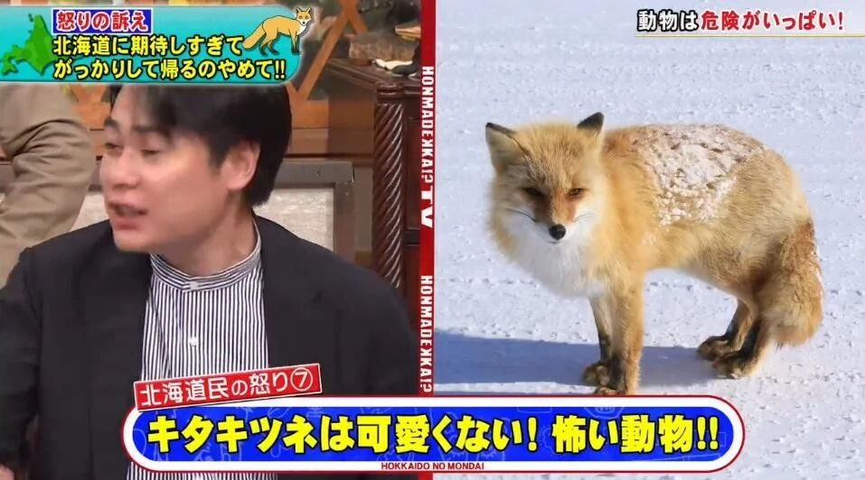 北海道建议去哪里,北海道要准备什么