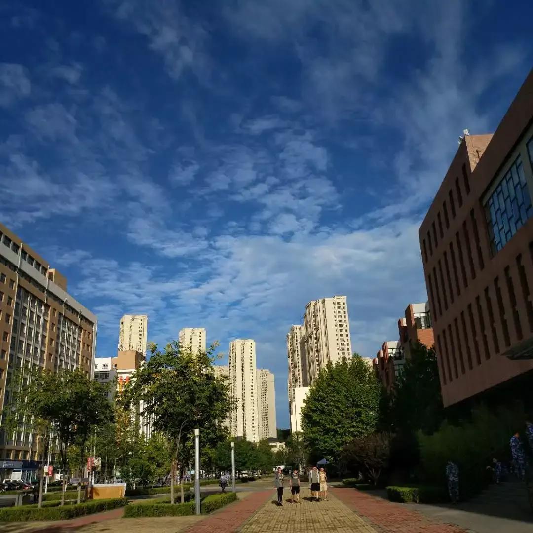 大连海事大学和辽宁省哪个级别高,大连海事大学辽宁省大学排名