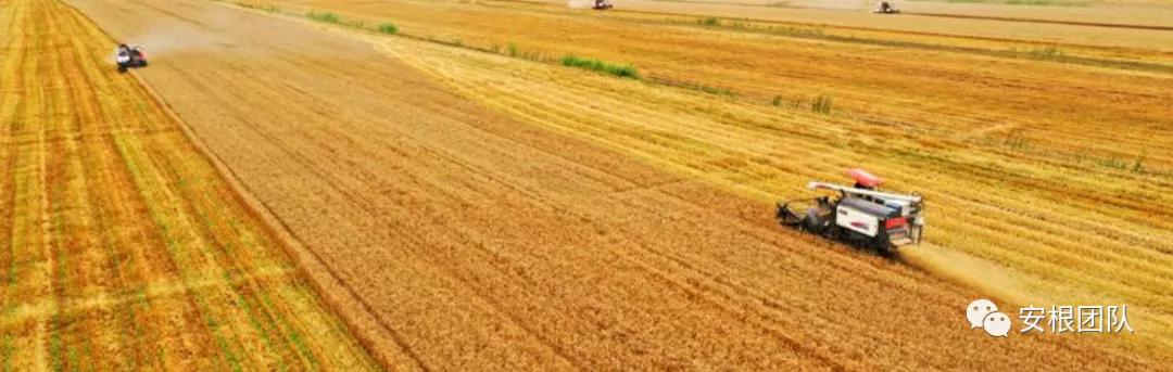 茶农怎么利润最大,茶叶合作社创新思路