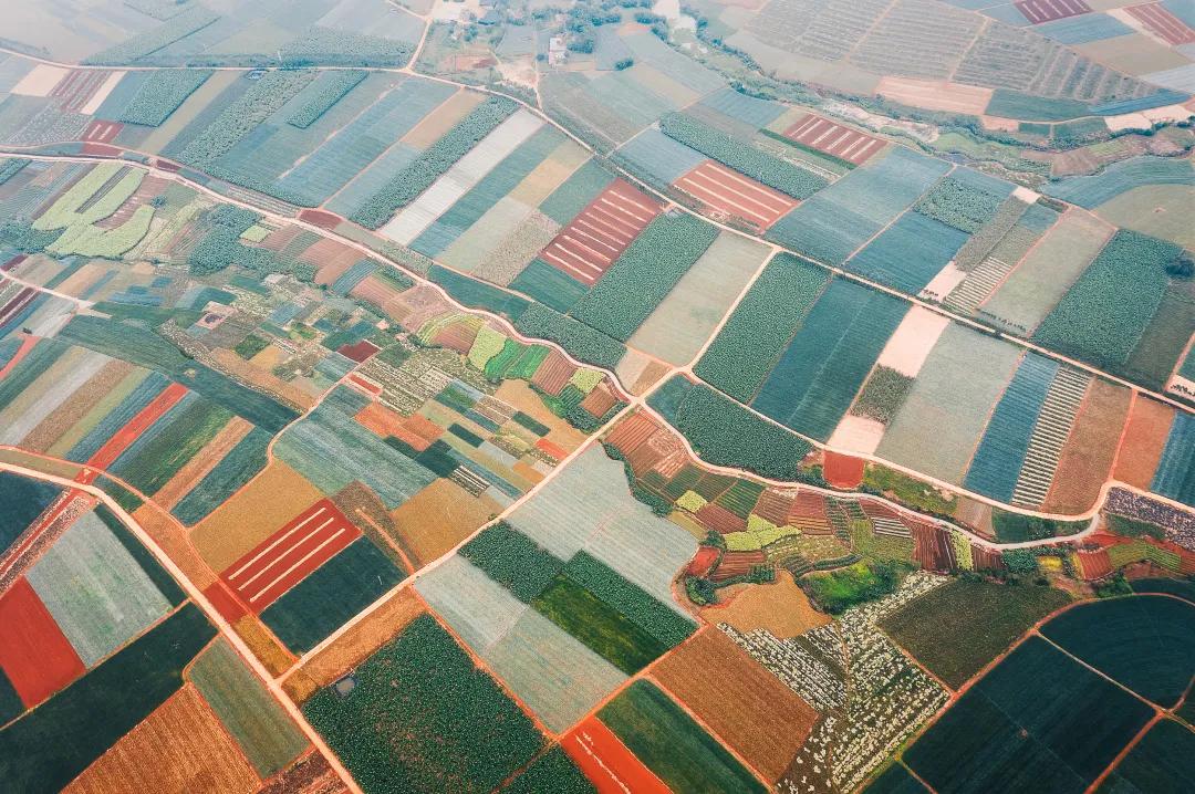 广东糖水那么多却吃不胖,广东糖水有多受欢迎
