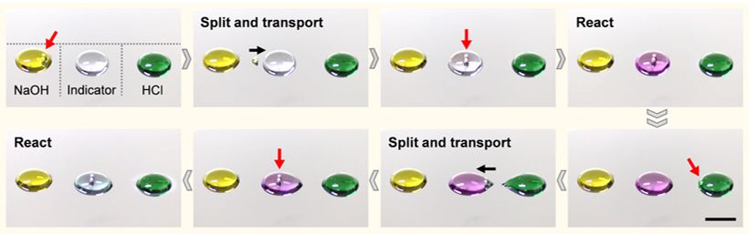 生物化学实验设计与实践,生物化学实验常用的技术