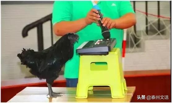 六一儿童节好去处泰州,泰州六一儿童节带孩子去哪玩