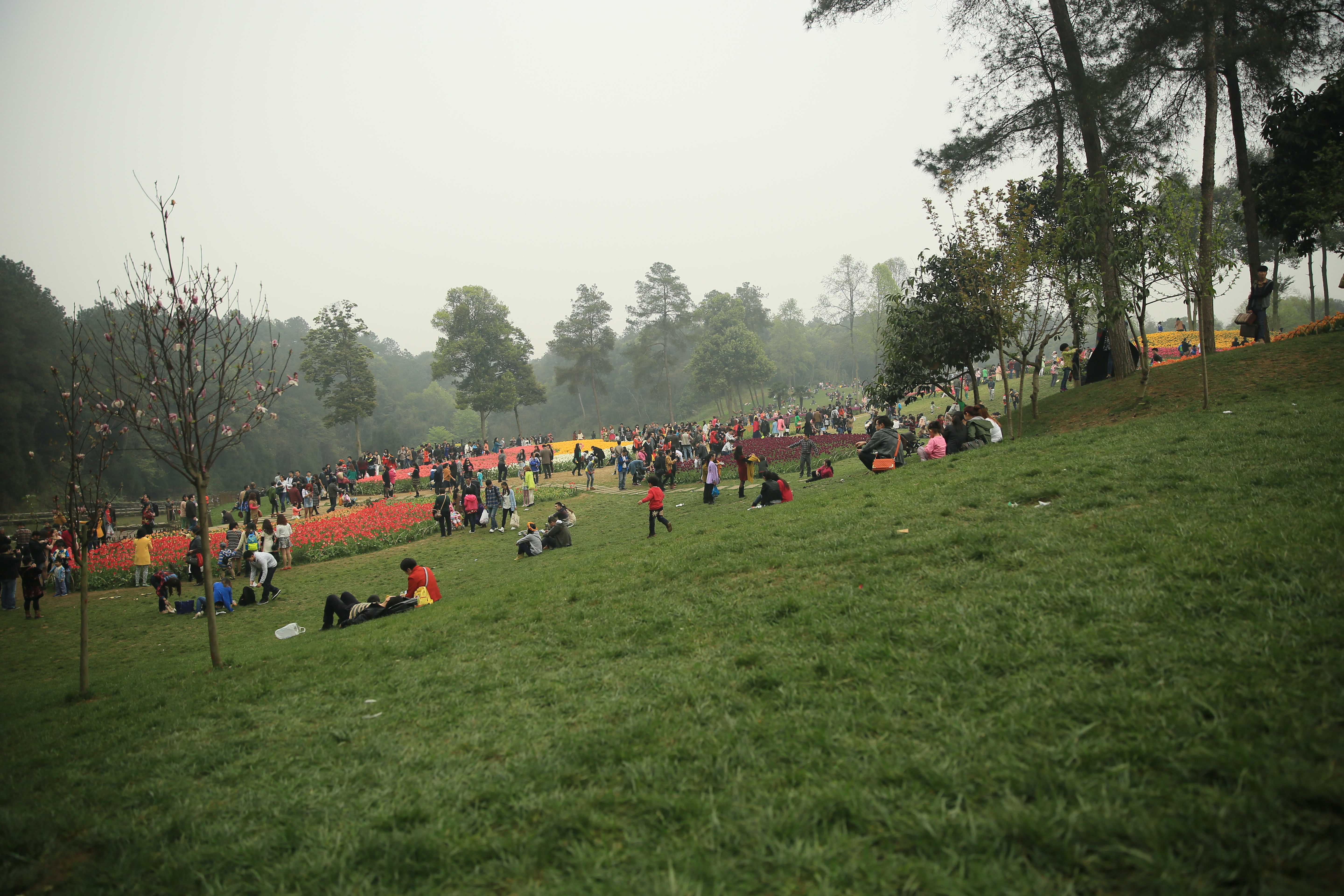 钂叉睙鐭宠薄婀栧ソ鐜╀笉,钂叉睙鐭宠薄婀栧ソ鑰嶅悧