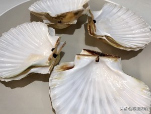 蒜蓉粉丝扇贝蒸几分钟最佳,家常蒜蓉粉丝蒸扇贝的做法