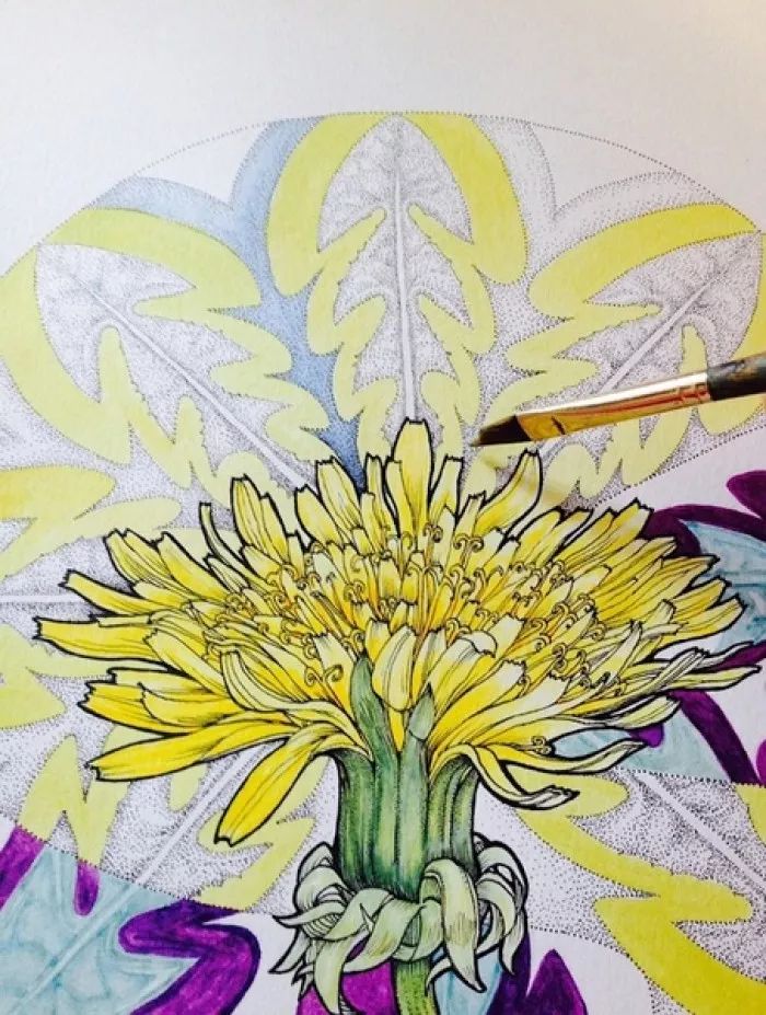 简单针管笔手绘花,简单易学针管笔手绘