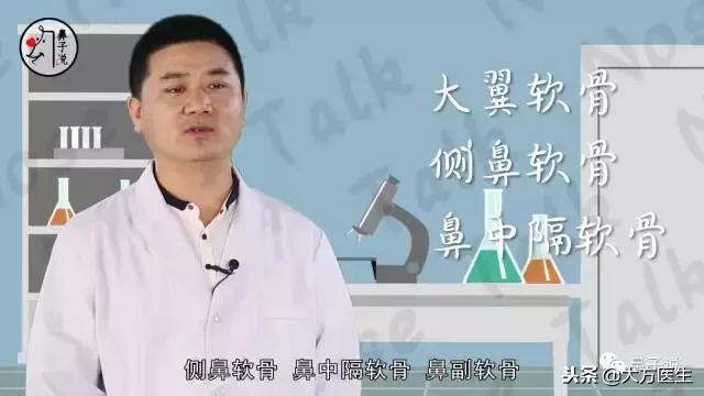 详细看一下鼻子的结构,从鼻孔形状能看出鼻子高低吗