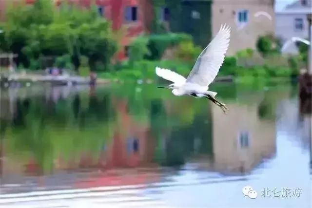 北仑旅游攻略大全集,北仑旅游攻略