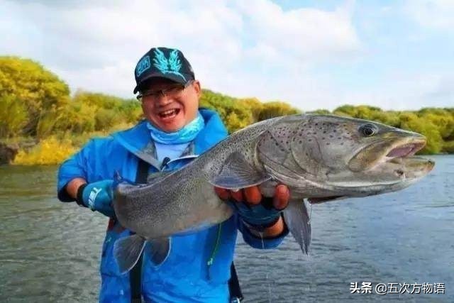松花江名鱼三花五罗十八子,三花五罗十八子鳇鱼