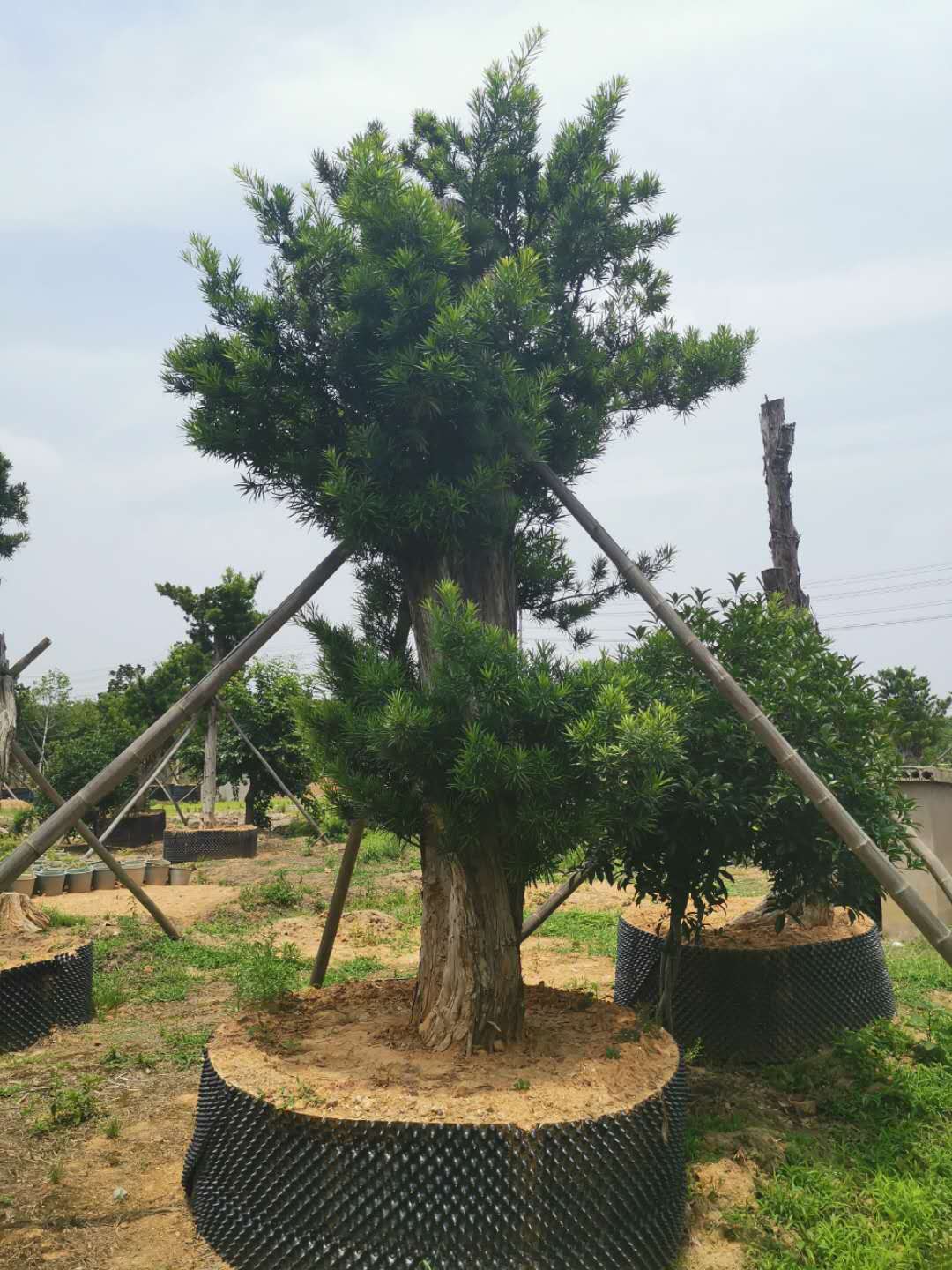 叹为观止自然风景,叹为观止高清图