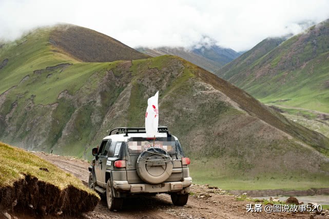 “疯狂”虫草一根卖到30元，中国最大虫草地，5月开挖孩子放假