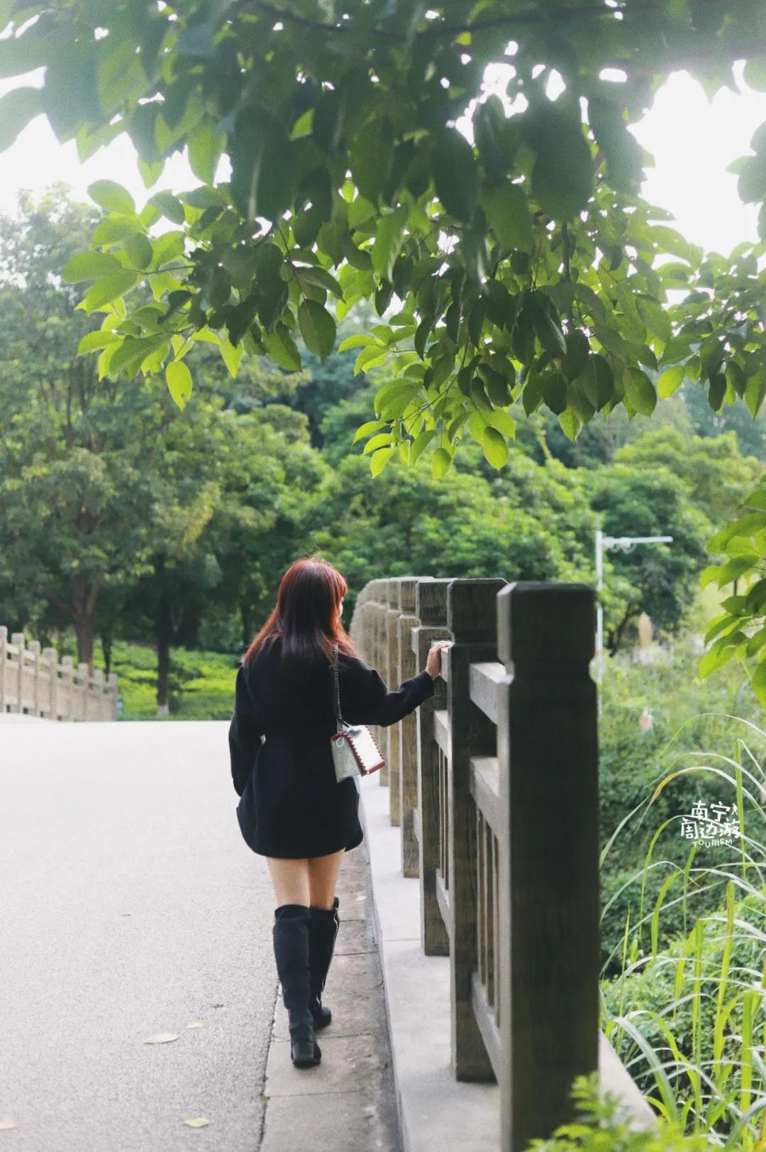 南宁花海公园在哪里,南宁嘉和城附近花海