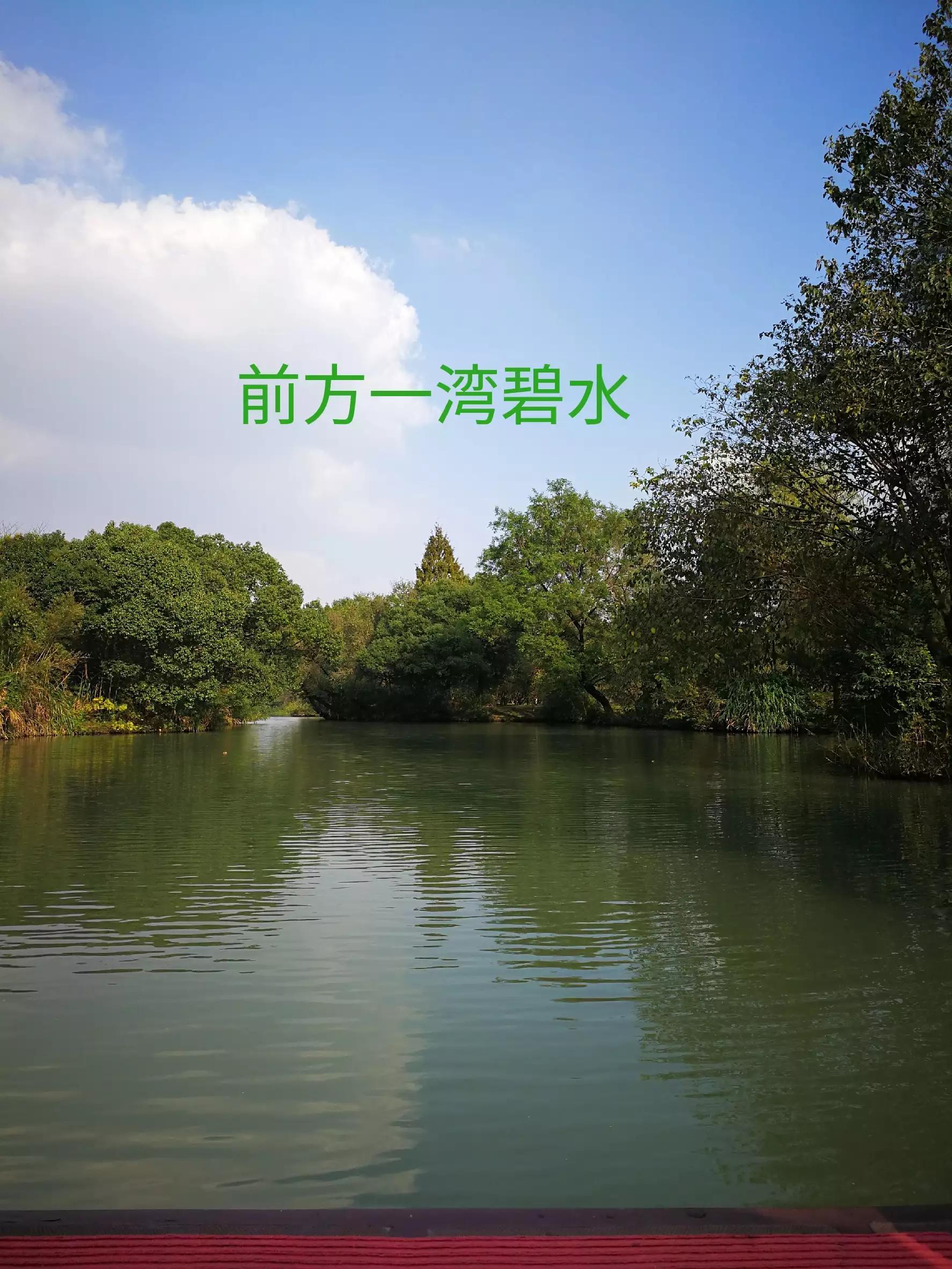 游览杭州西溪湿地，荡漾在四通八达的河道上，沁人心脾，一起看看