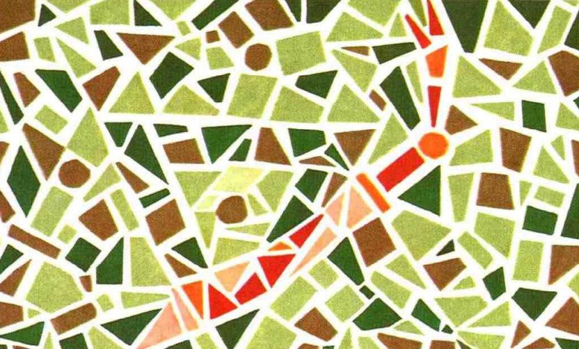 色弱测试图兔子,五张色觉检测图