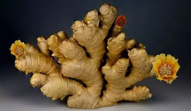 宝妈坐月子不能吃酱油、醋、葱姜蒜？月子餐调味料使用大全