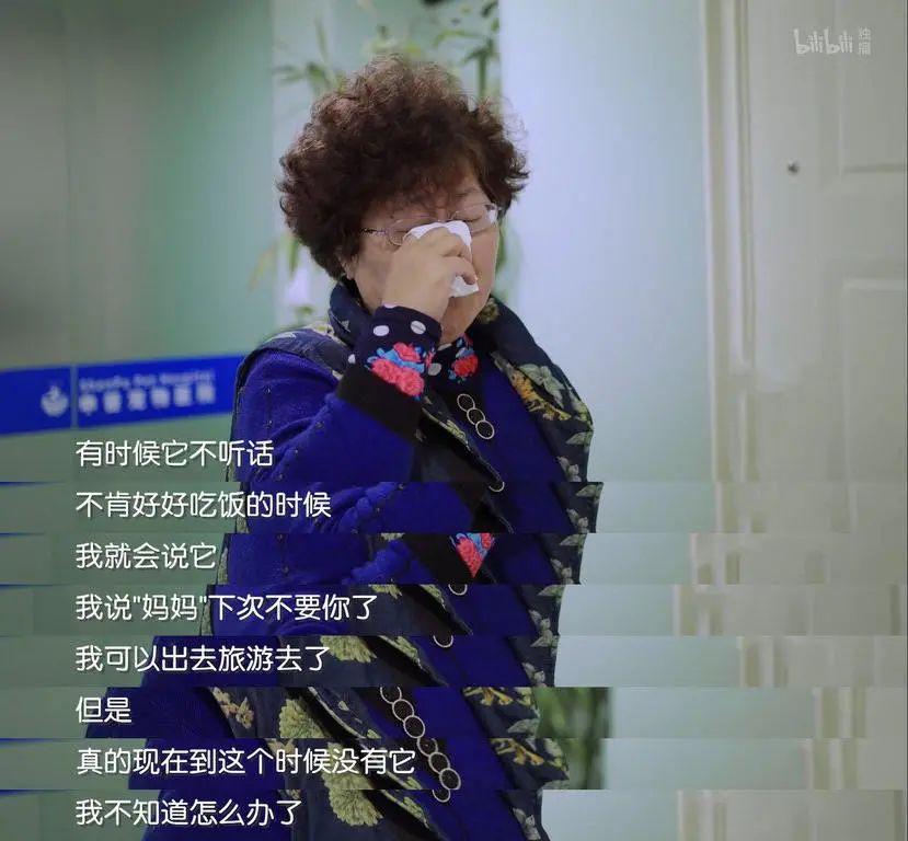 b站高分历史纪录片,2分钟一集的b站纪录片