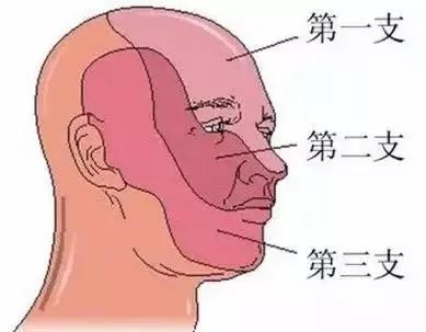 牙齿痛怎么办教你一招搞定牙痛,牙痛怎么样判断牙齿什么问题