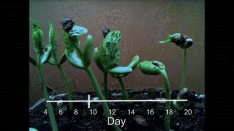 认识宫腔镜,了解子宫内膜