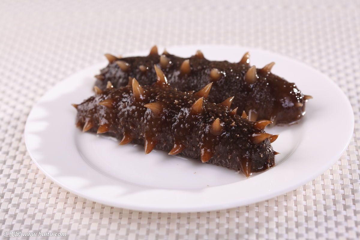 渤海湾海参春参好还是秋参好,海参怎样辨别春参还是秋参