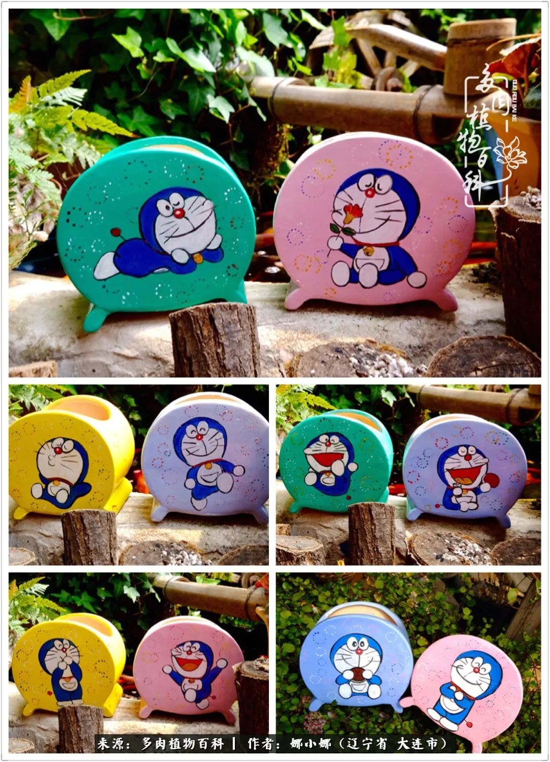 你是盆我是花，你护我周全，我为你绽放