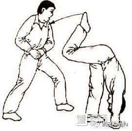 戳脚实战脚法,戳脚与弹腿实用技法