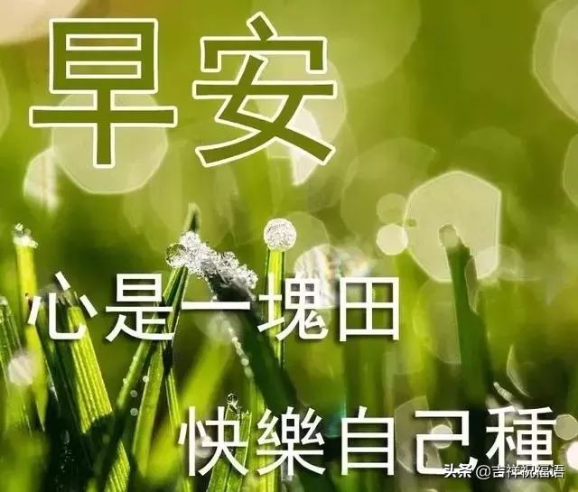 早上好问候祝福语暖心句子图片,特别暖心的早上好祝福语图片图文