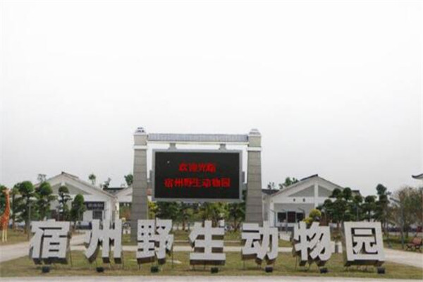 宿州虞姬旅游攻略,宿州旅游攻略必去景点一日游