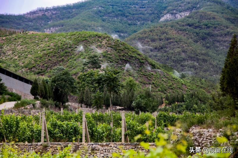 山西富利农业合作社,山西平定农业合作社