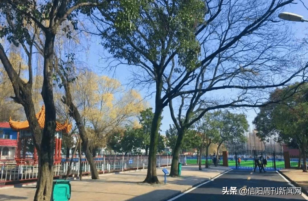 信阳一高电话,信阳一高咨询电话