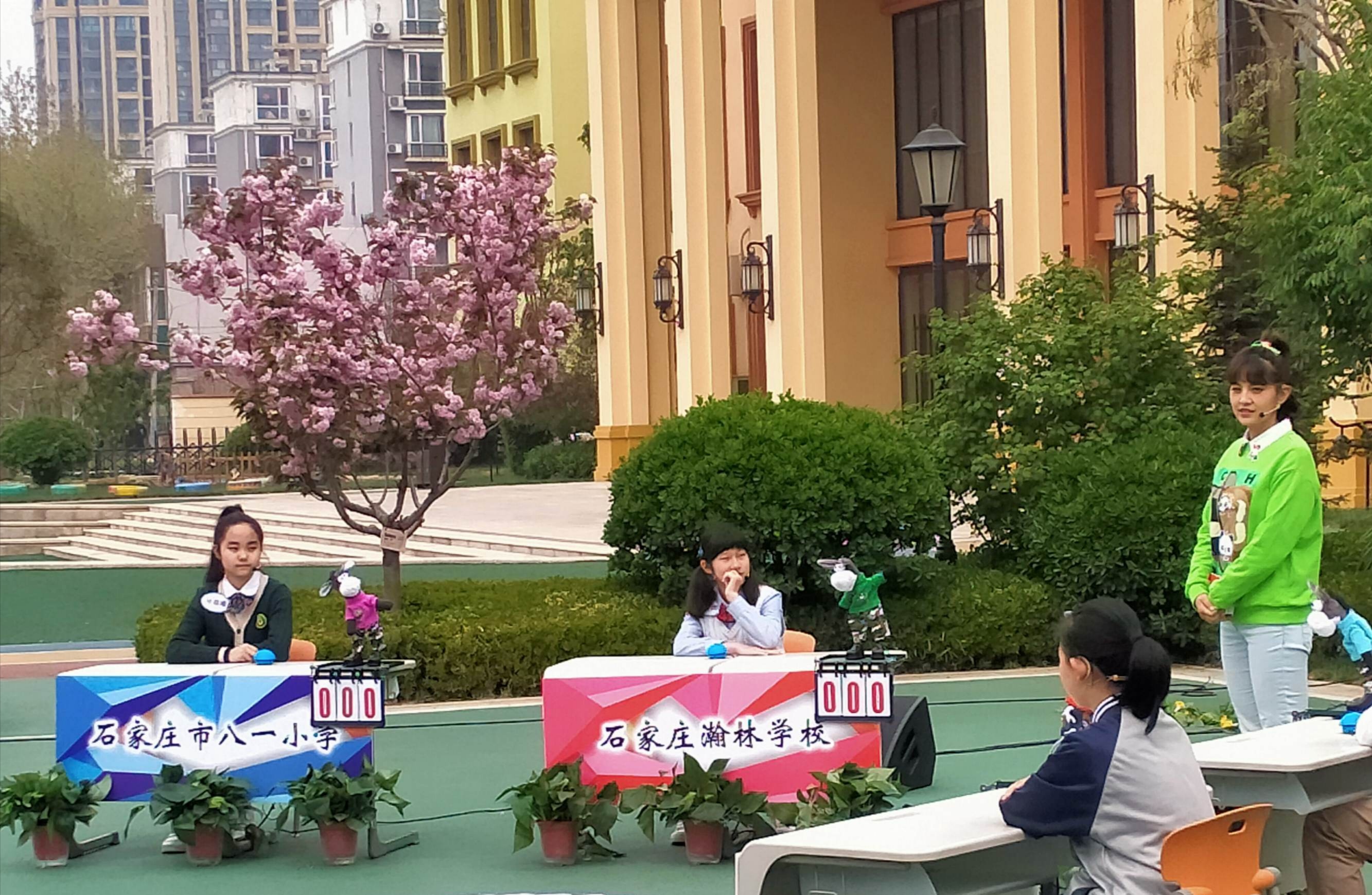 石家庄市八一小学——做客央视绽露风采