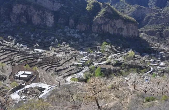 京郊四月美景,京郊四月