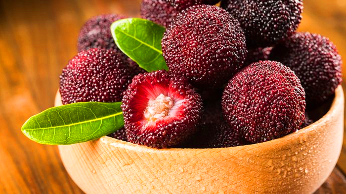 杨梅的种植技术,最好的杨梅种植方法