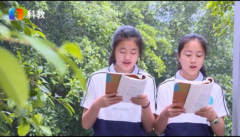 谁家玉笛暗飞声音效,《谁家玉笛暗飞声》