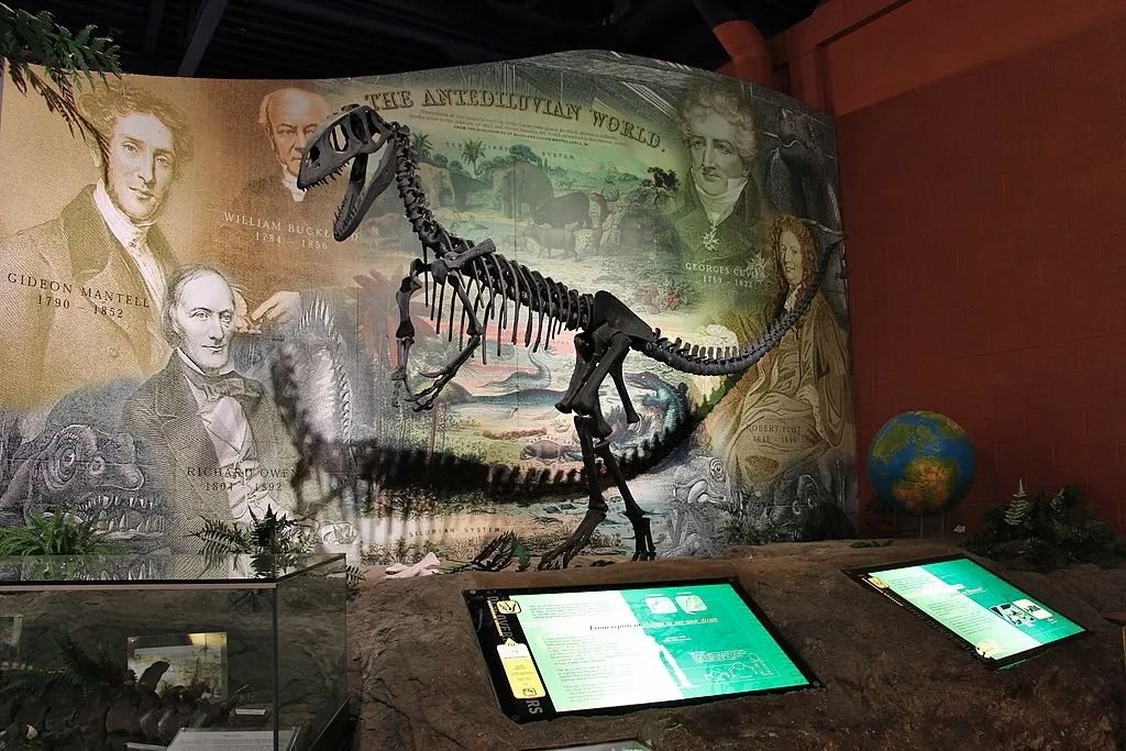 世界上第一种被人类发现的恐龙,世界上第一个被发现的恐龙