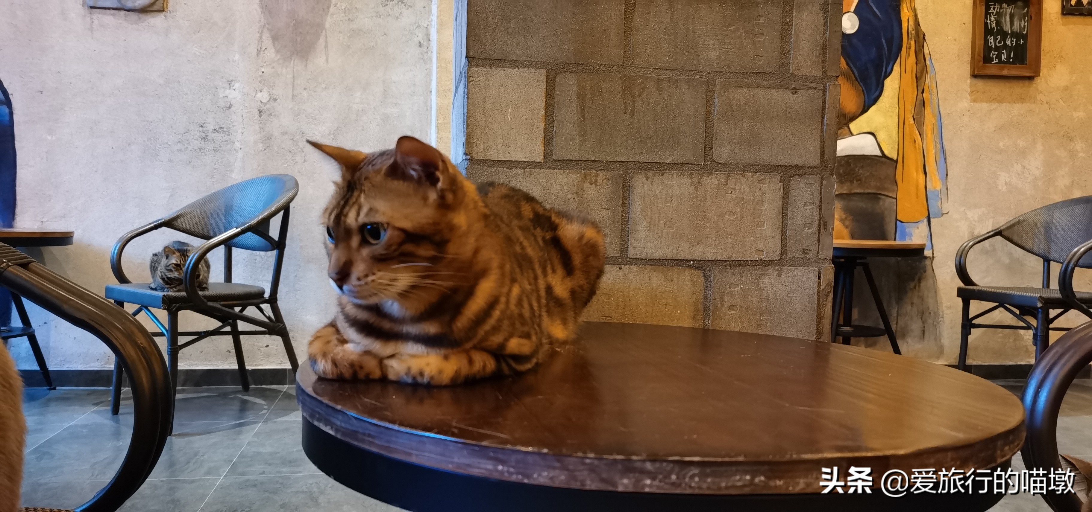 冬季汕头南澳岛攻略,汕头南澳岛3天2夜自驾游攻略