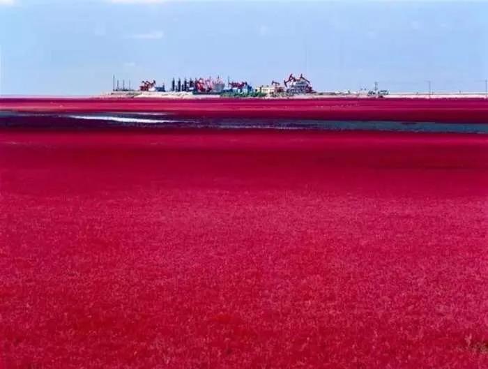 10.28竞彩赛事：埃尔夫拿分冲榜北雪平无所诉求赫塔费本轮不费