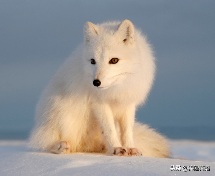 2021锦州中考英语题,2024年锦州初中学业水平测试