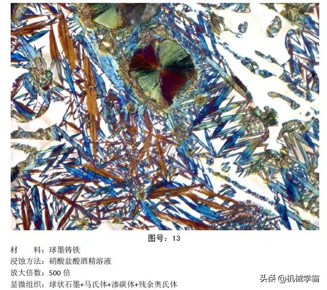 马氏体、奥氏体、珠光体，20种材料彩色金相，带你轻松识别